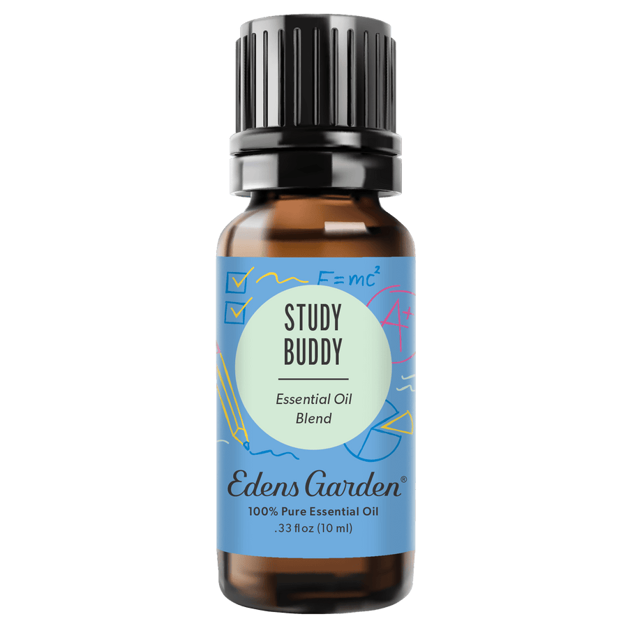 Study Buddy Essential Oil Blend- For Focus, Mind Calming & Concentration