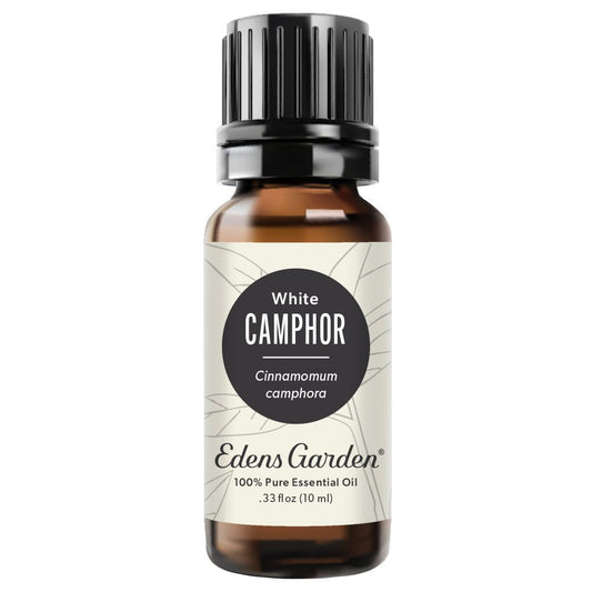Camphor- White Essential Oil