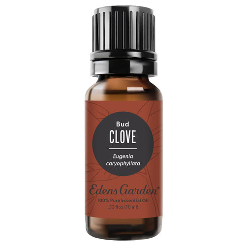 Benefits And Uses For Clove Bud Essential Oil Edens Garden