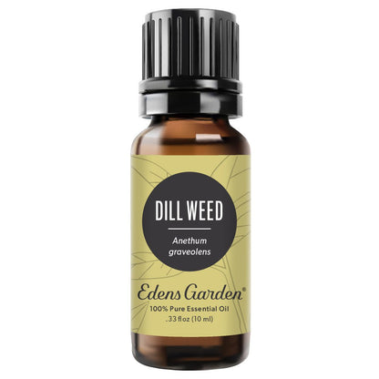 Dill Weed Essential Oil