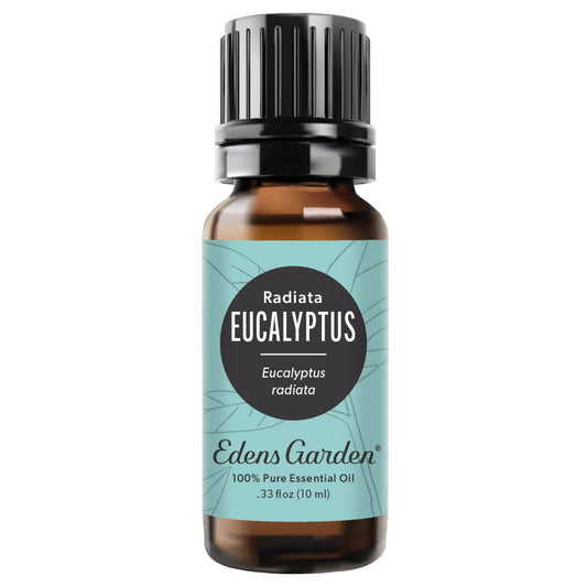 Eucalyptus- Radiata Essential Oil