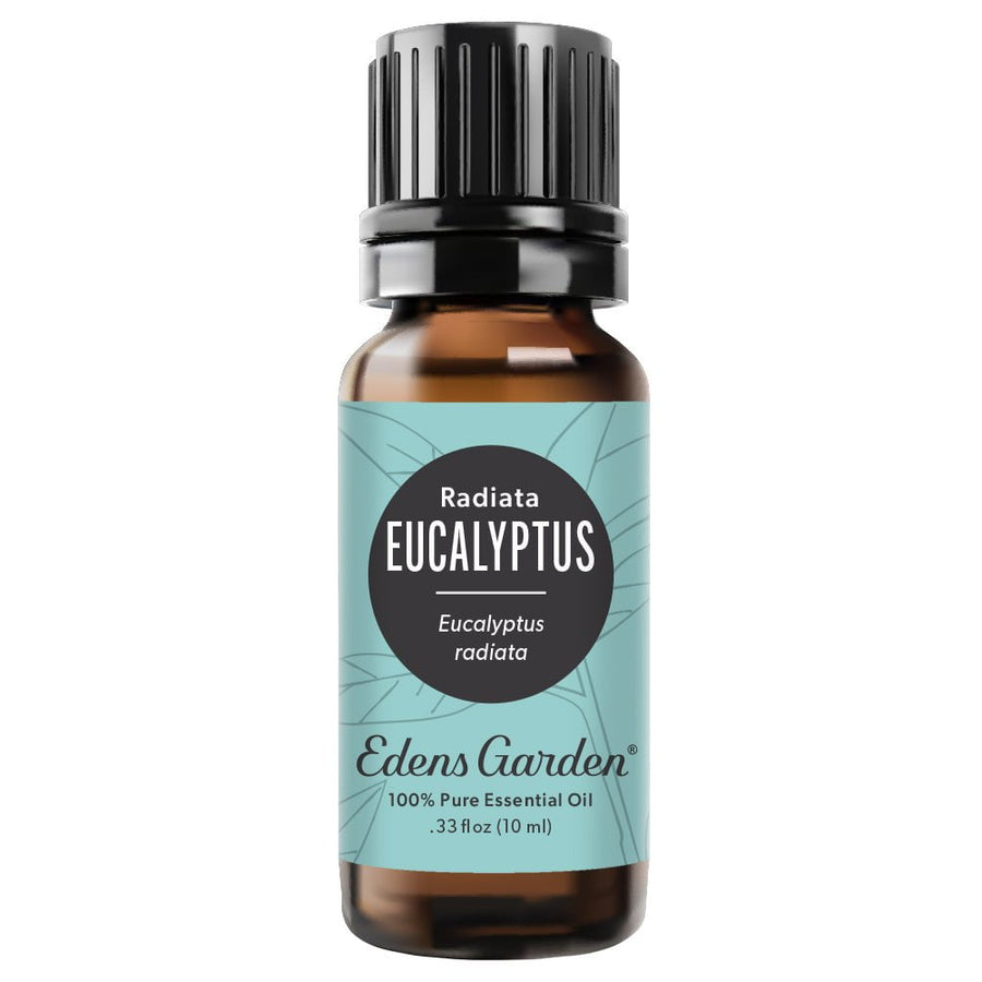 Eucalyptus- Radiata Essential Oil