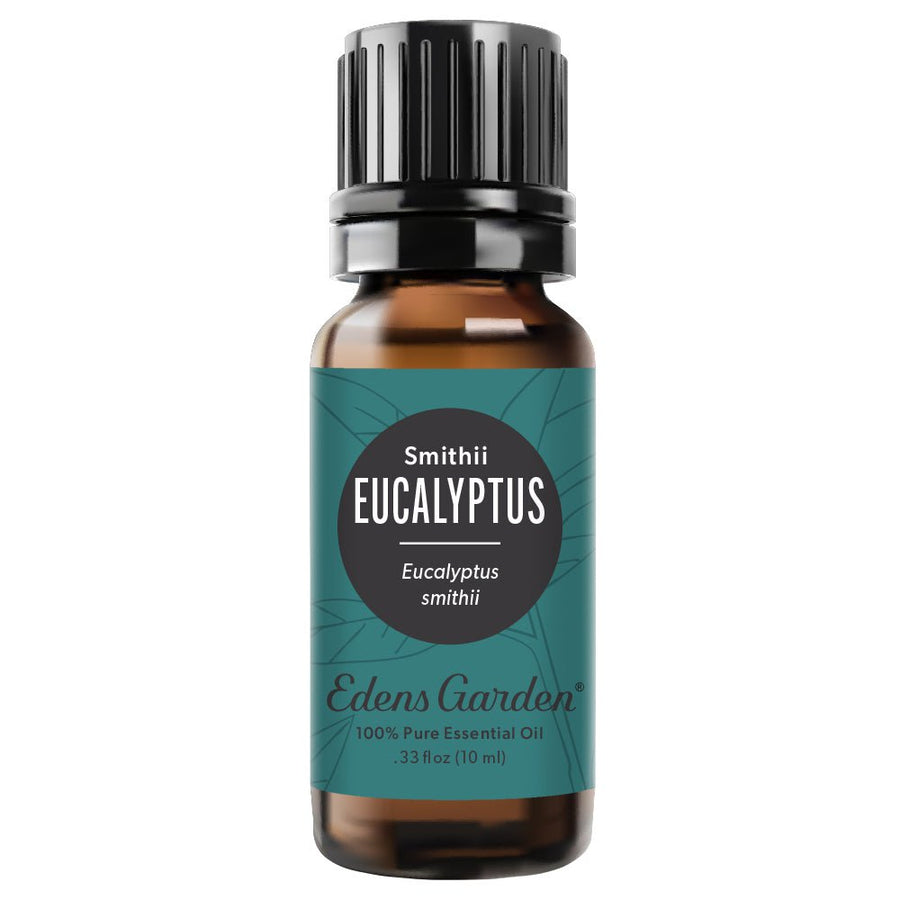 Eucalyptus- Smithii Essential Oil