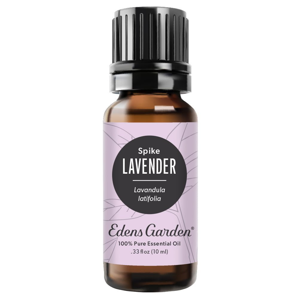 Spike Lavender Essential Oil - Organic - Snow Lotus Aromatherapy