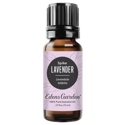 Lavender- Spike Essential Oil