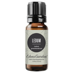 Plant Therapy Ledum Essential Oil 2.5 ml (1/12 oz) 100% Pure, Undiluted, Natural