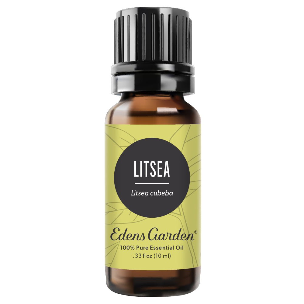 Edens Garden Litsea Essential Oil, 100% Pure Therapeutic Grade (undiluted Natural/ Homeopathic Aromatherapy Scented Essential Oil Singles) 10 ml
