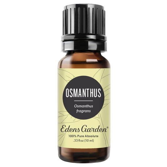 Osmanthus Absolute