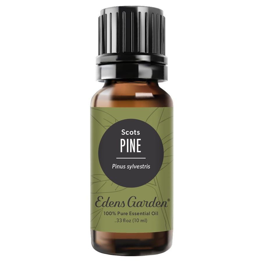 Pine- Scots Essential Oil