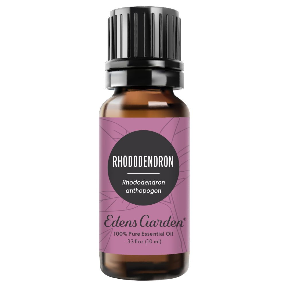 rhododendron ätherisches öl Rhododendron Essential Oil