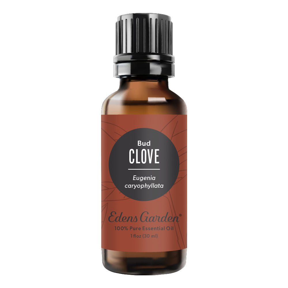 100% Pure Clove Bud Essential Oil | Edens Garden