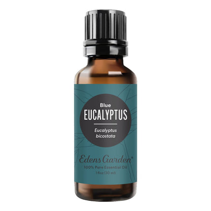 Eucalyptus- Blue Essential Oil