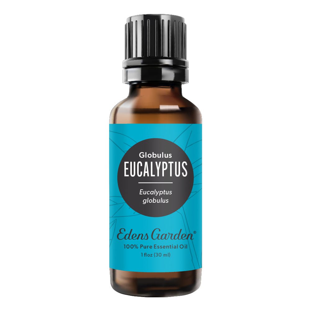 Eucalyptus- Globulus Essential Oil