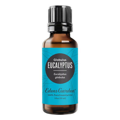 Eucalyptus- Globulus Essential Oil