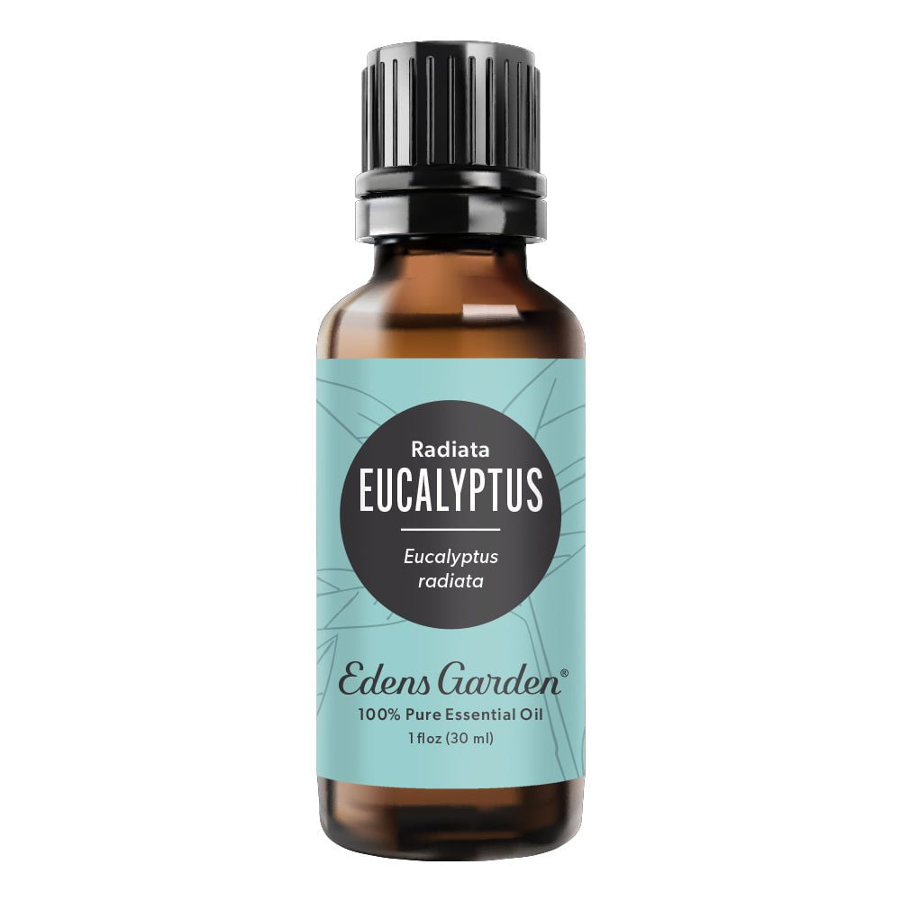 Eucalyptus- Radiata Essential Oil