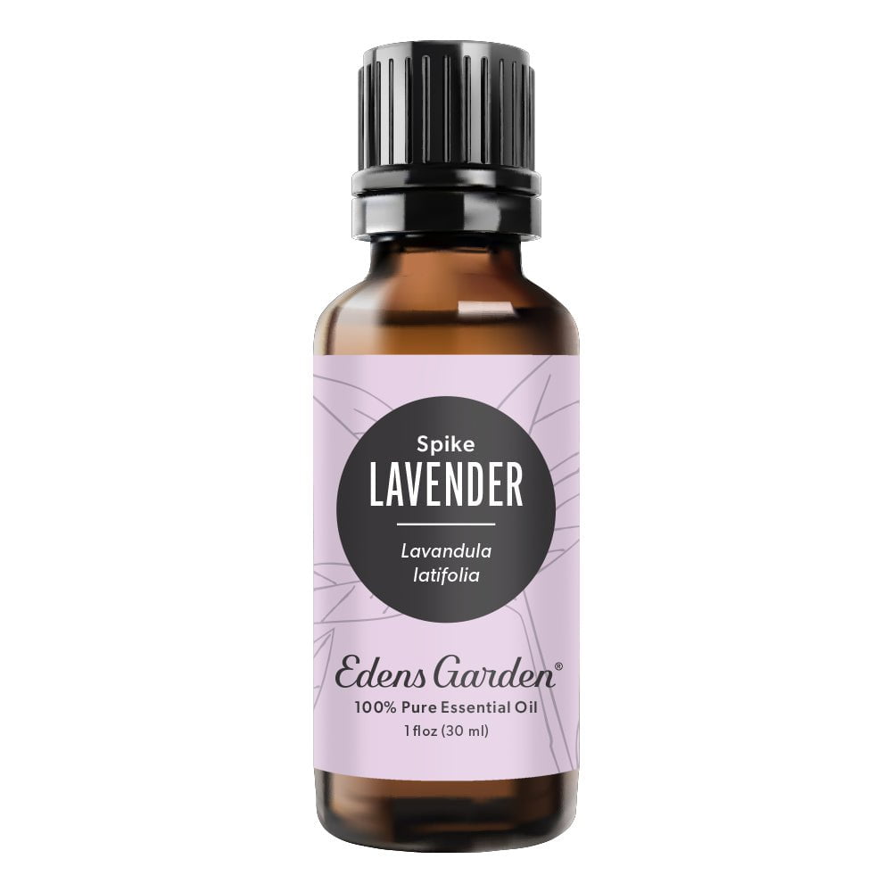 Spike Lavender | Essential Oils | Edens Garden