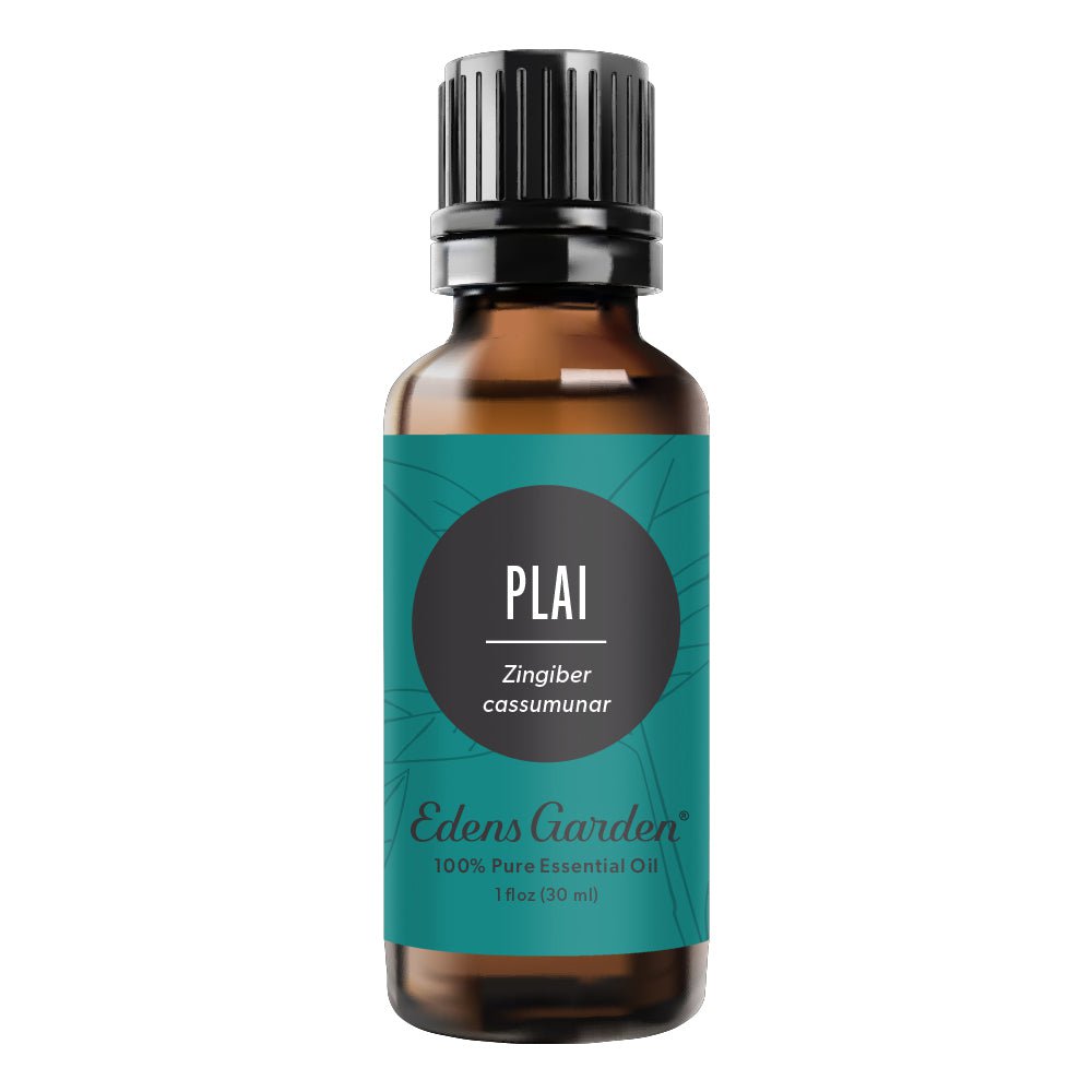 Plai Essential Oil