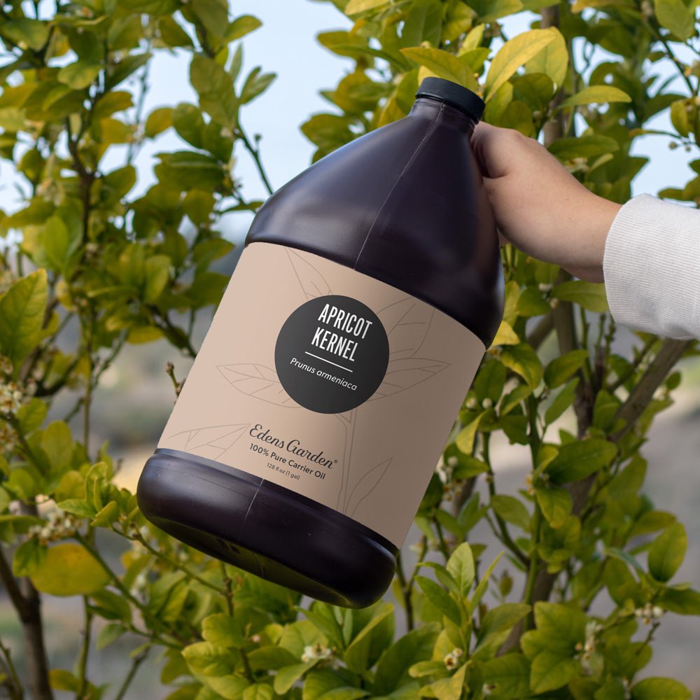Apricot Kernel Carrier Oil- 1 Gallon