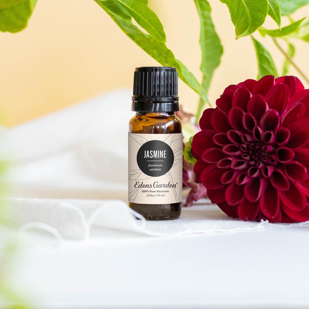 Jasmine Absolute – Edens Garden