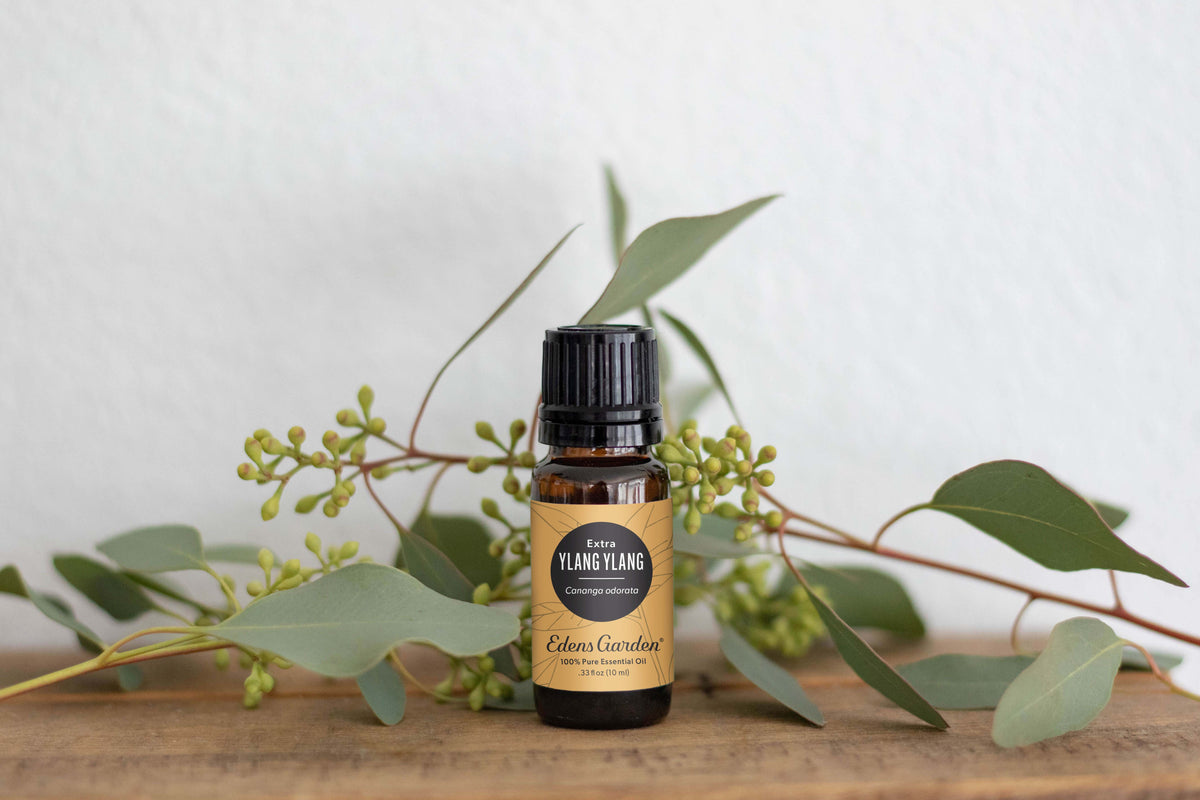 Ylang Ylang- Extra Essential Oil