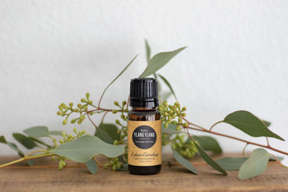 Ylang Ylang- Extra Essential Oil