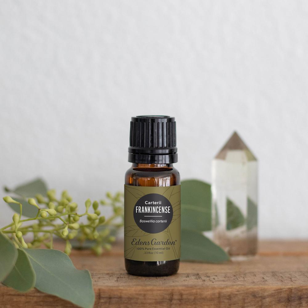 Frankincense- Carterii Essential Oil