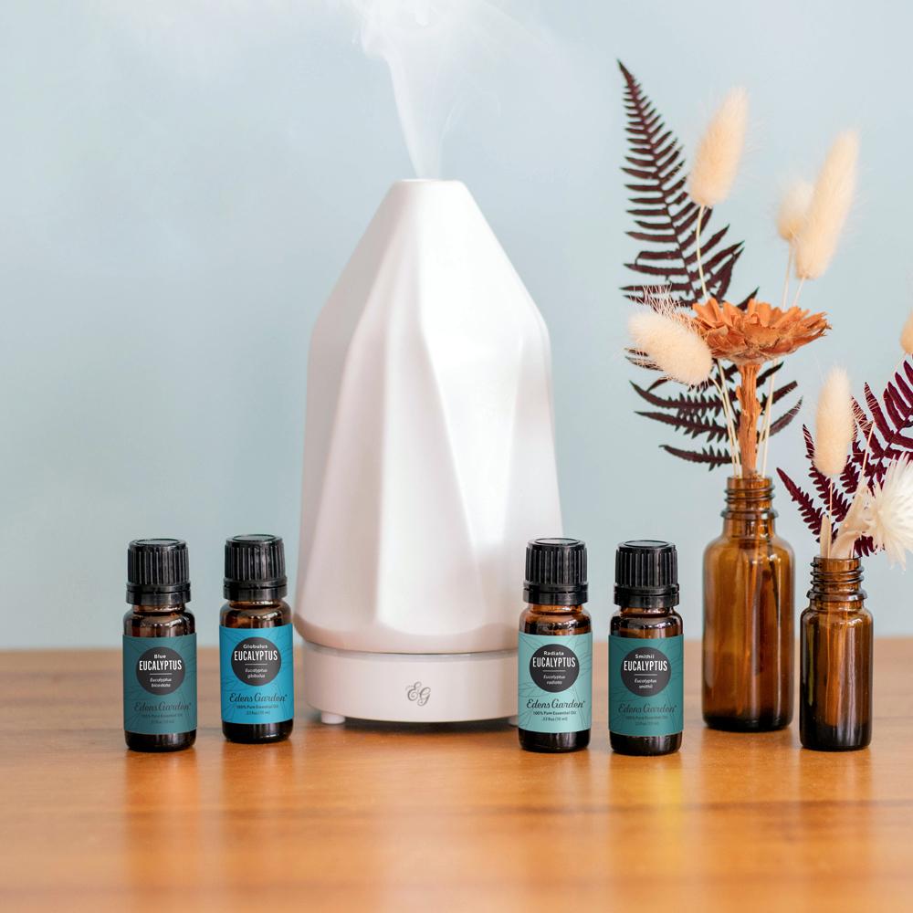 Eucalyptus- Radiata Essential Oil