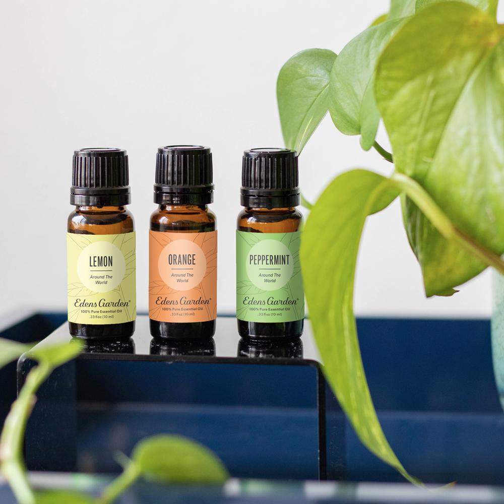 Lifestyle image of Peppermint Around The World Essential Oil
