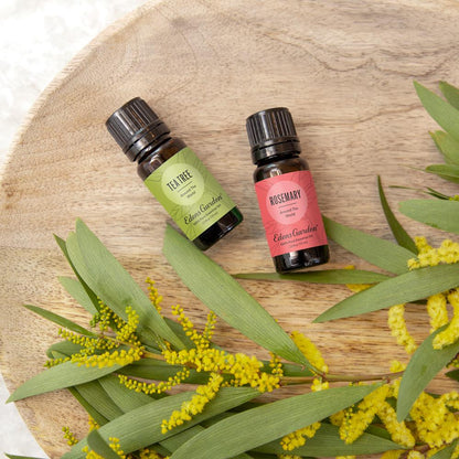 Lifestyle image of Tea Tree Around The World Essential Oil