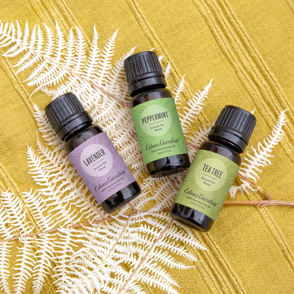 Around The World Essential Oil 3 Set