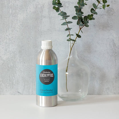 Eucalyptus- Globulus Essential Oil