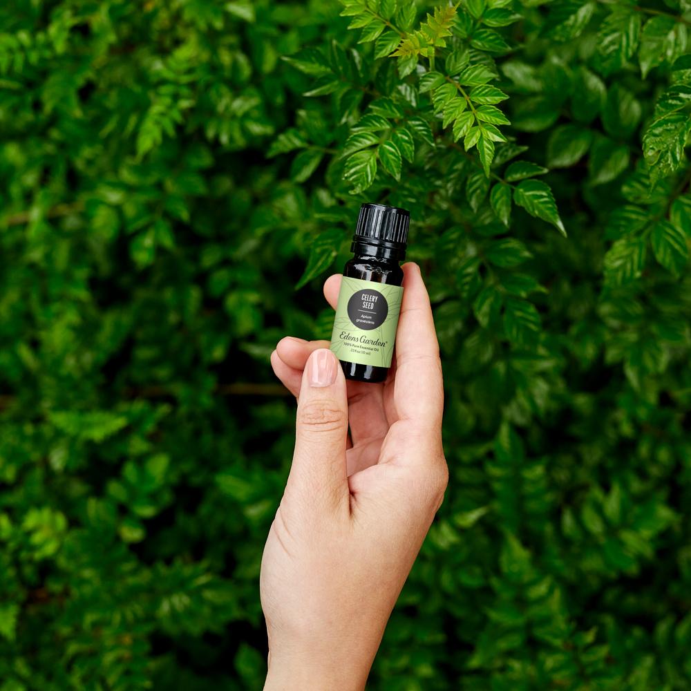 Celery Seed Essential Oil