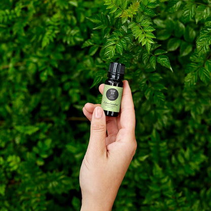 Celery Seed Essential Oil