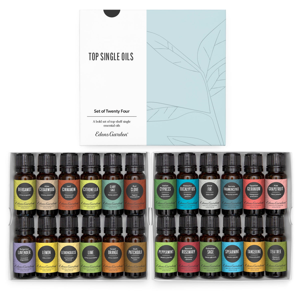 Top Single Essential Oils 24 Set