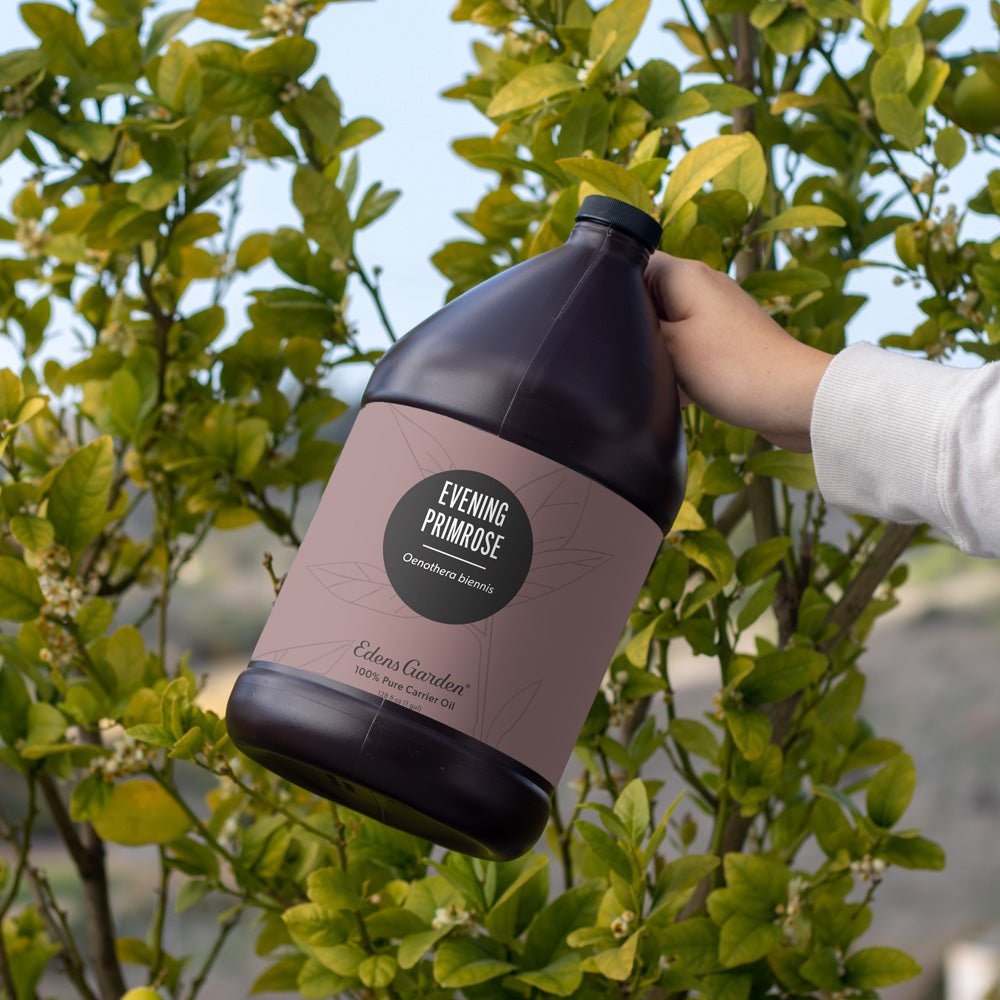 Evening Primrose Carrier Oil- 1 Gallon
