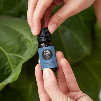 Natural Cleaning Essential Oil Blend- Best For Cleansing Germs & Bacteria