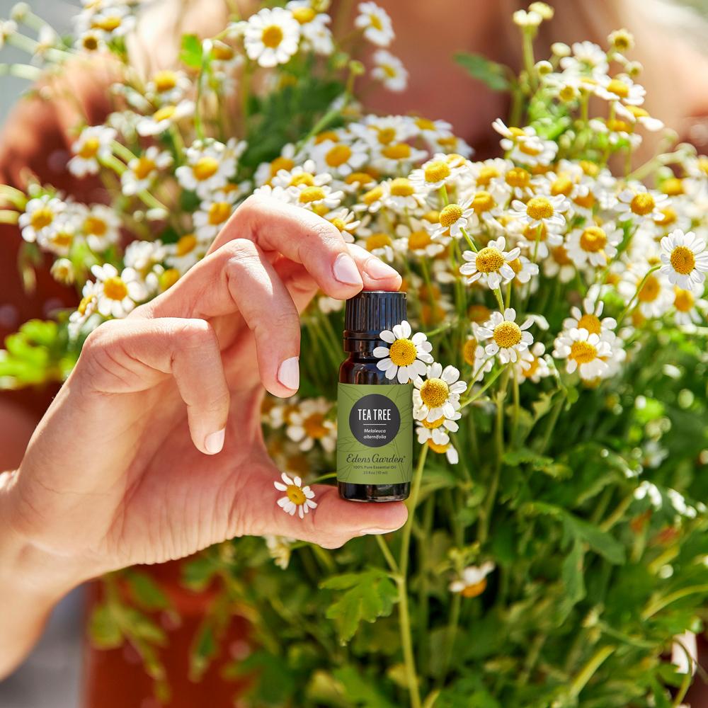 Tea Tree Essential Oil