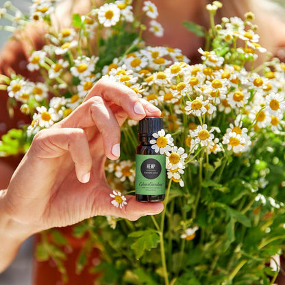 Hemp Essential Oil
