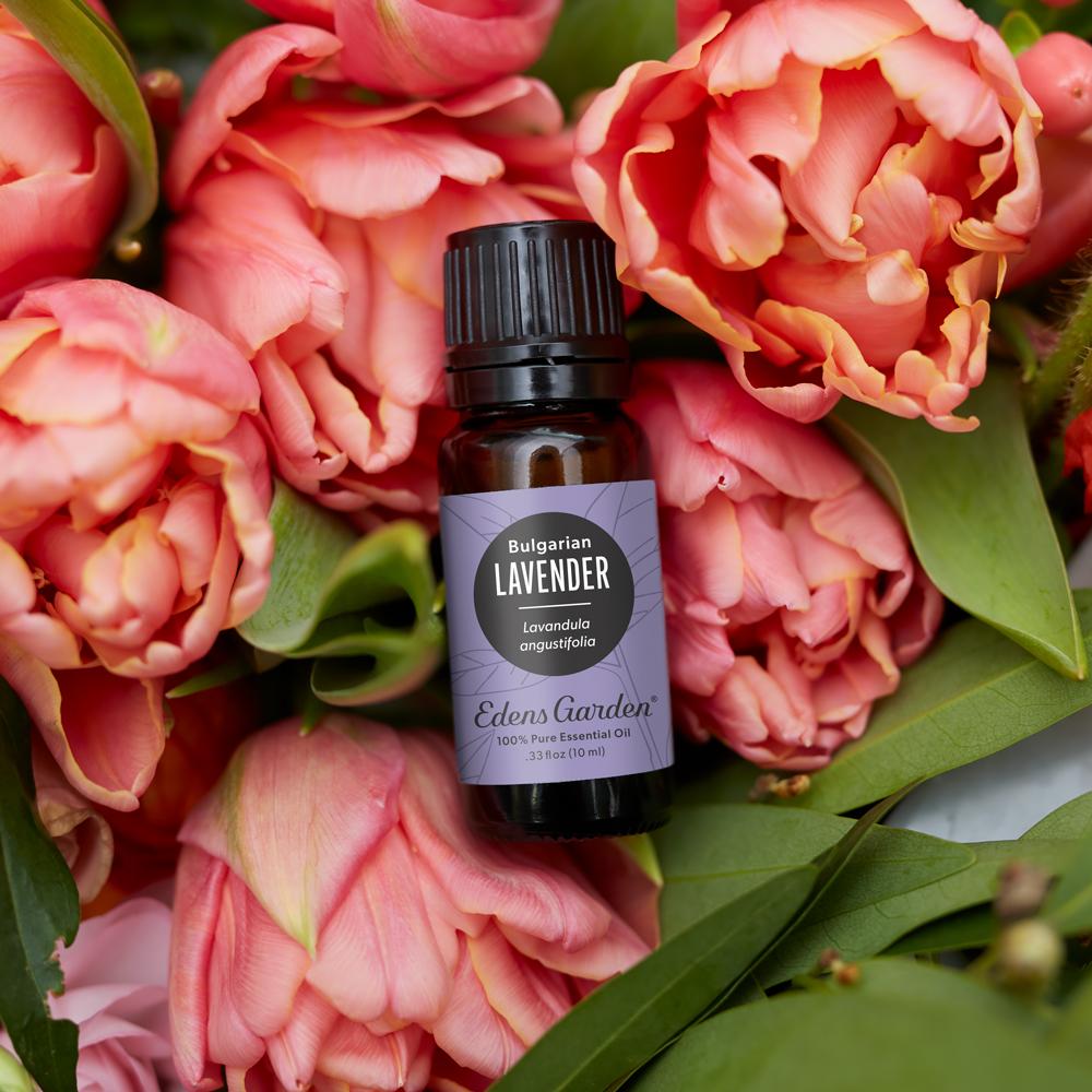 Lavender Essential Oil | Edens Garden