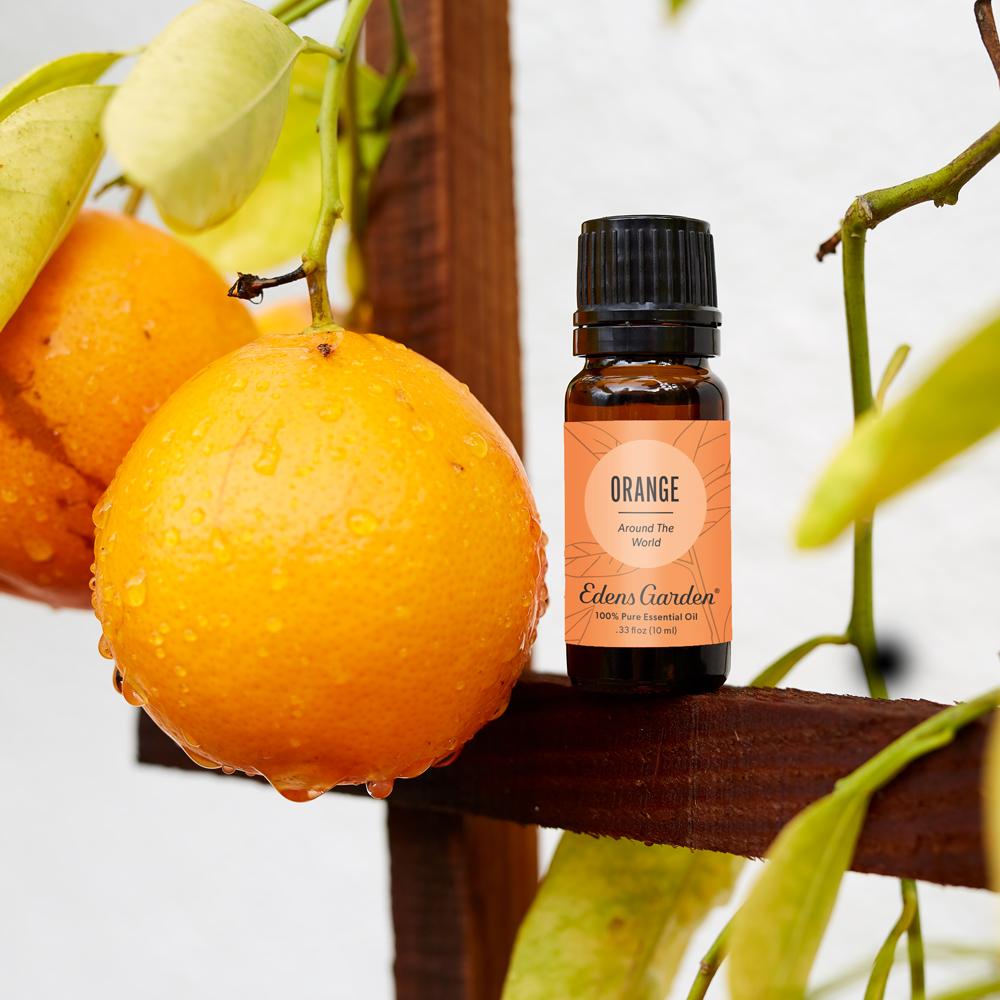 Lifestyle image of Orange Around The World Essential Oil