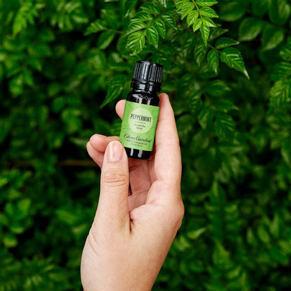Lifestyle image of Peppermint Around The World Essential Oil