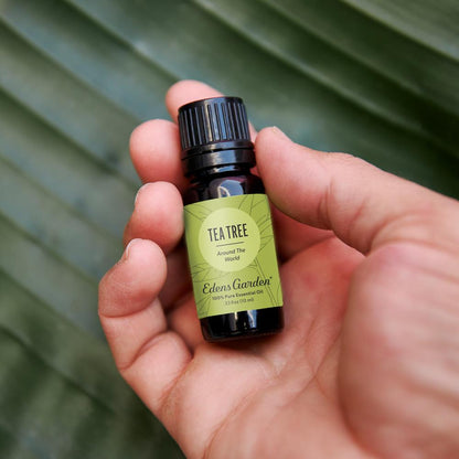 Lifestyle image of Tea Tree Around The World Essential Oil